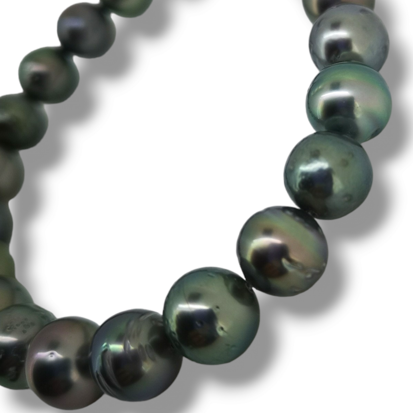 Tahitian Strand Bracelet (21cm)-Bracelet-Danika Cooper Jewellery