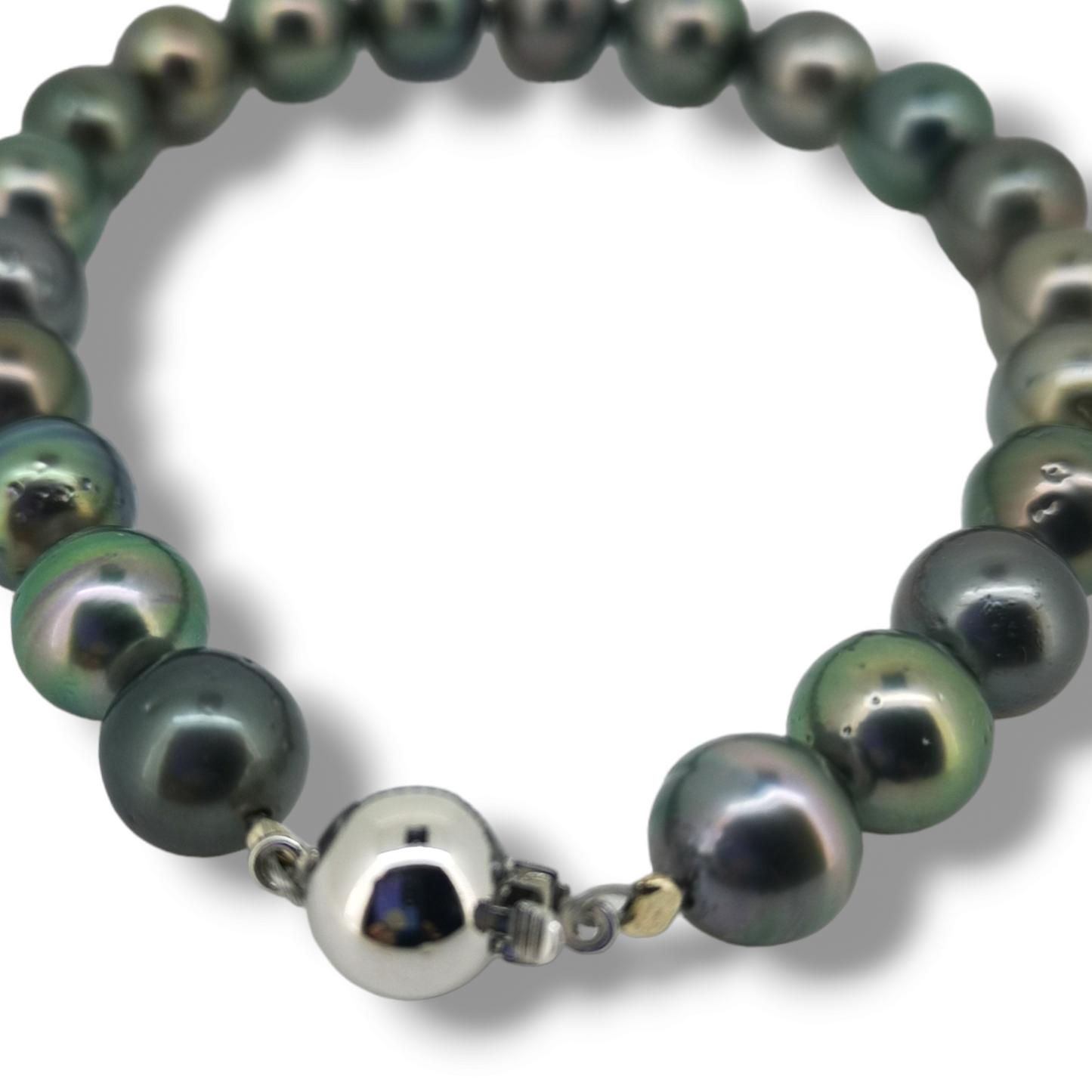 Tahitian Strand Bracelet (21cm)-Bracelet-Danika Cooper Jewellery