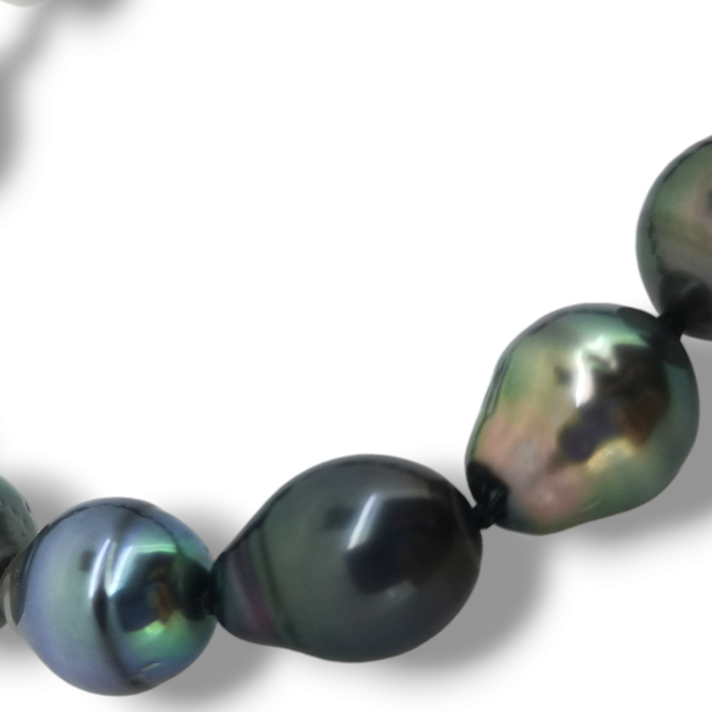 Tahitian Strand Bracelet (21cm)-Bracelet-Danika Cooper Jewellery