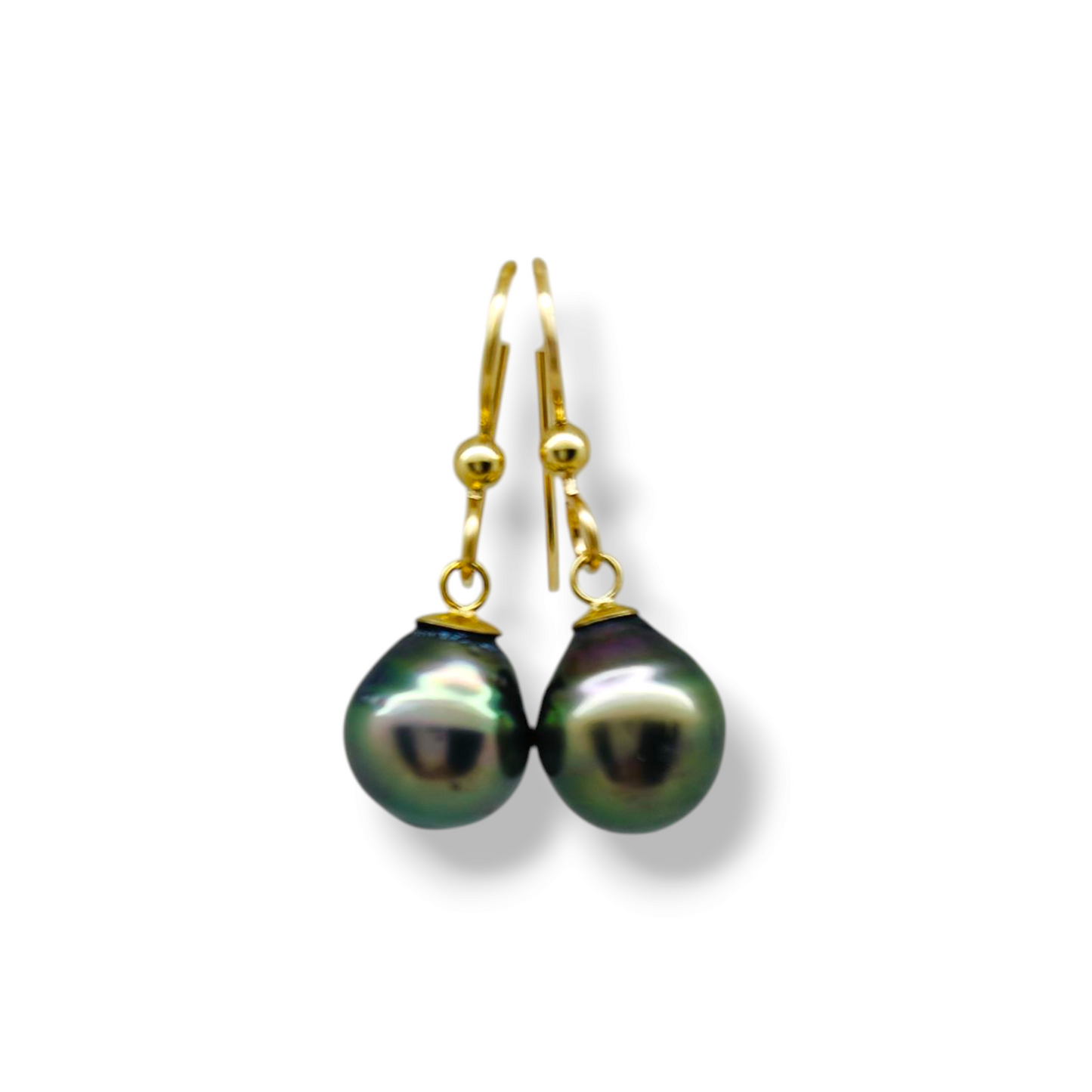 Puka Earrings-Earrings-Danika Cooper Jewellery