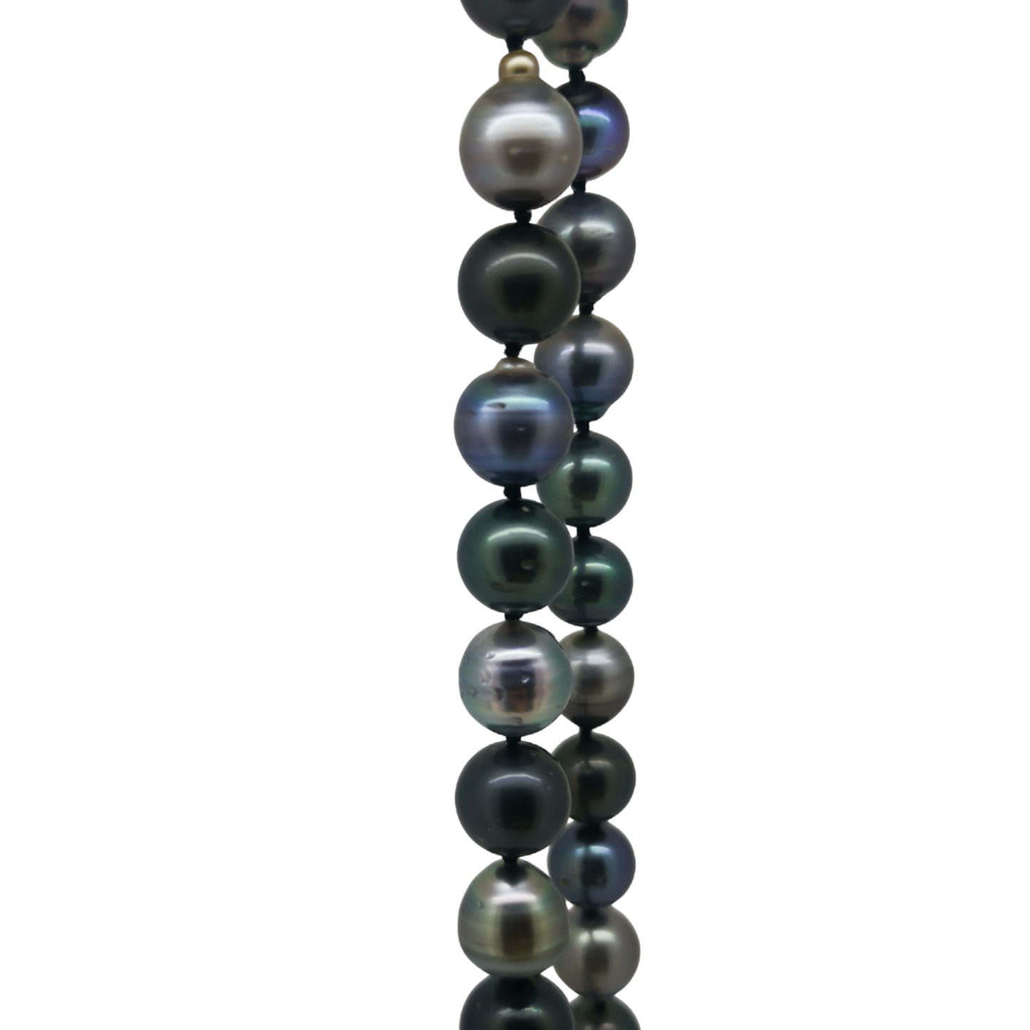 Tahitian Strand Necklace 50cm-Necklace-Danika Cooper Jewellery
