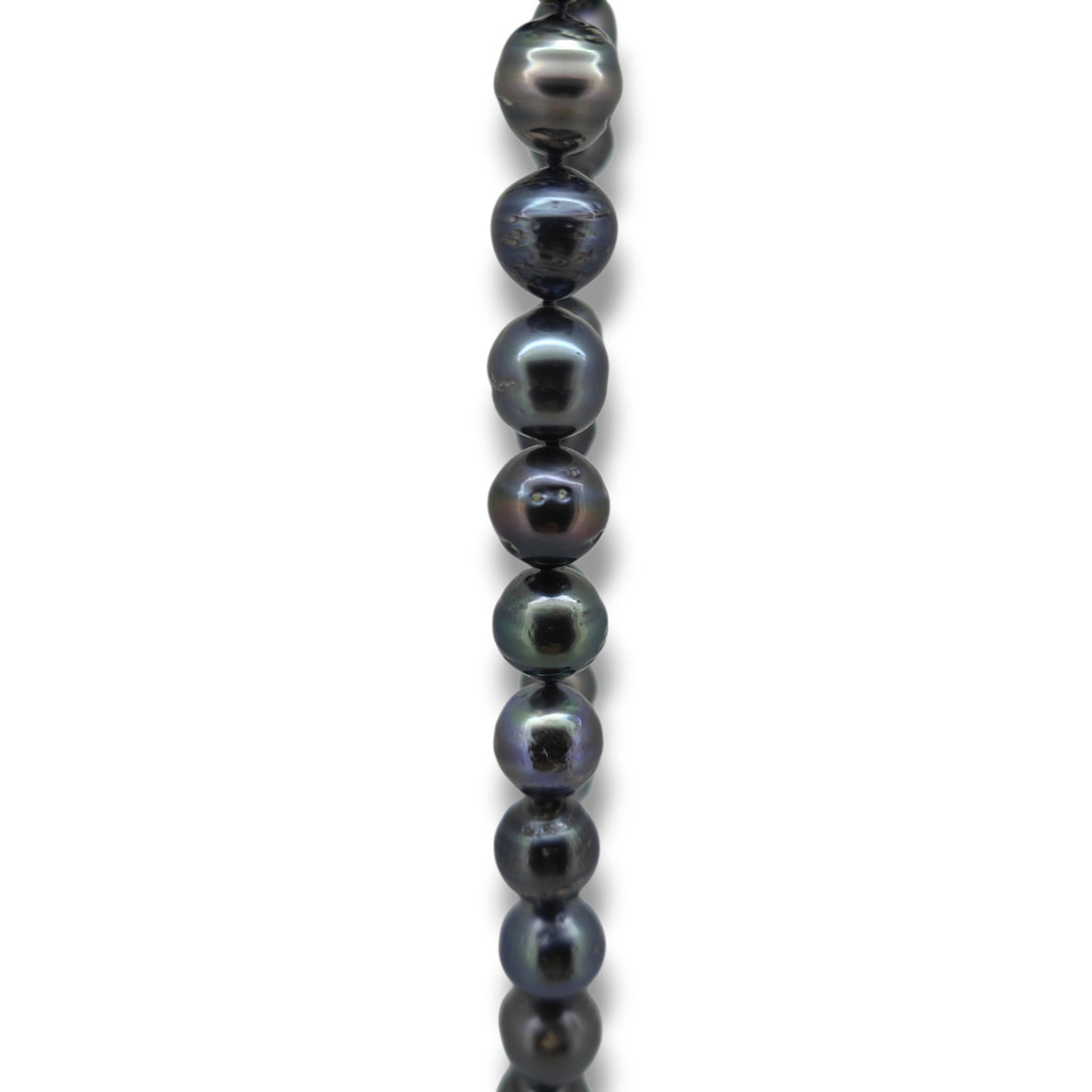 Tahitian Strand Necklace 55cm-Necklace-Danika Cooper Jewellery