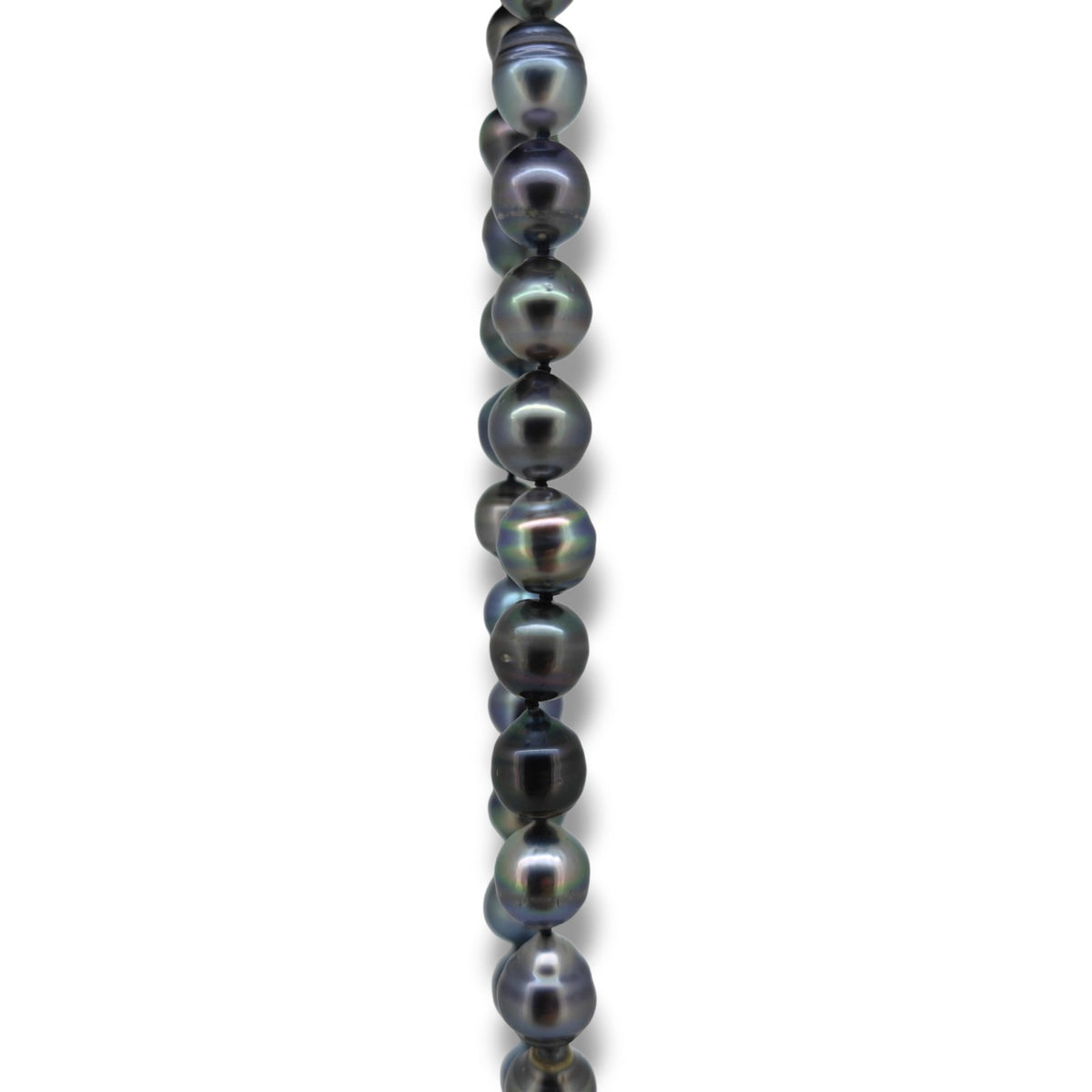 Tahitian Strand Necklace 55cm-Necklace-Danika Cooper Jewellery