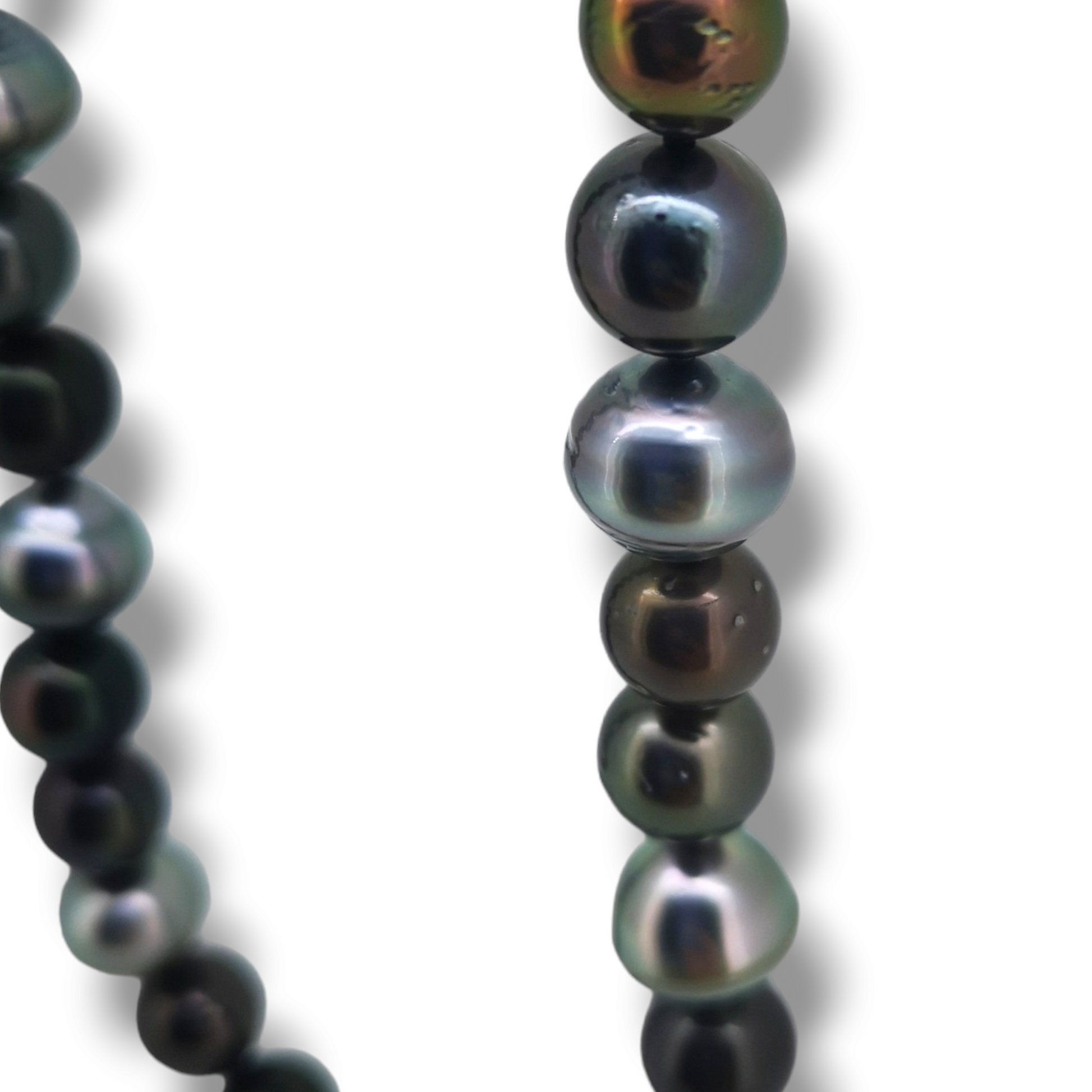 Tahitian Strand Necklace 55cm-Necklace-Danika Cooper Jewellery
