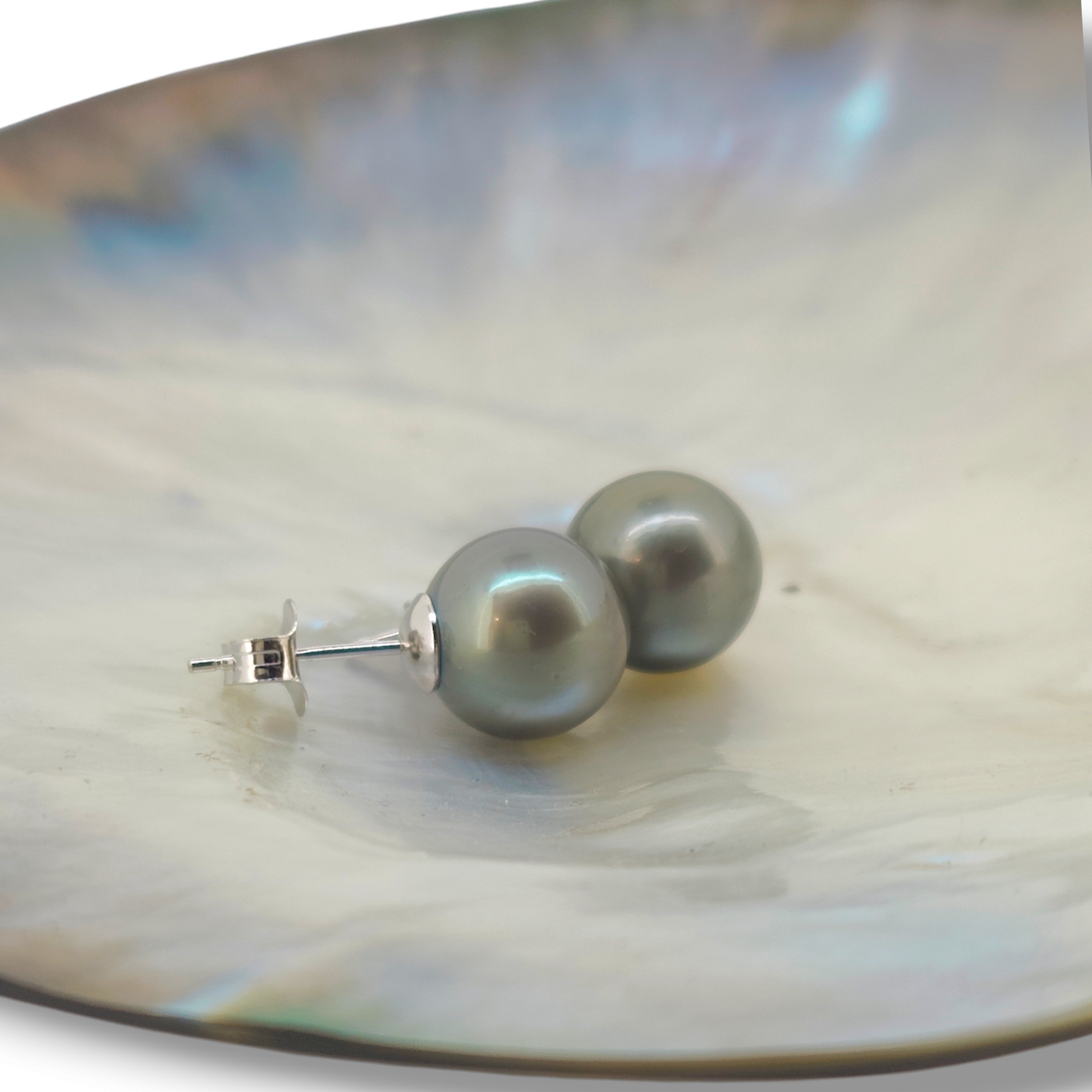 Classic Stud Earrings 10.6mm-Earrings-Danika Cooper Jewellery