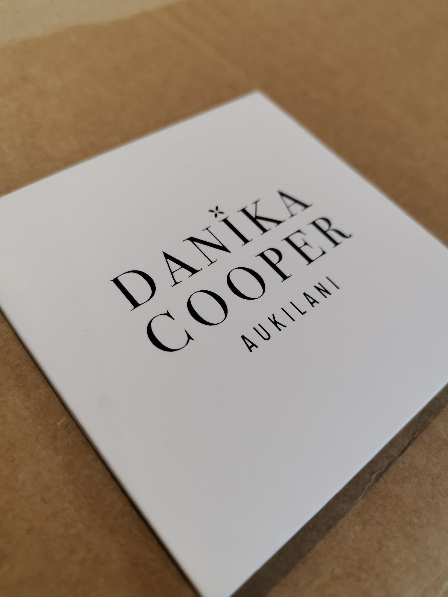 Additional polishing cloths-Danika Cooper Jewellery