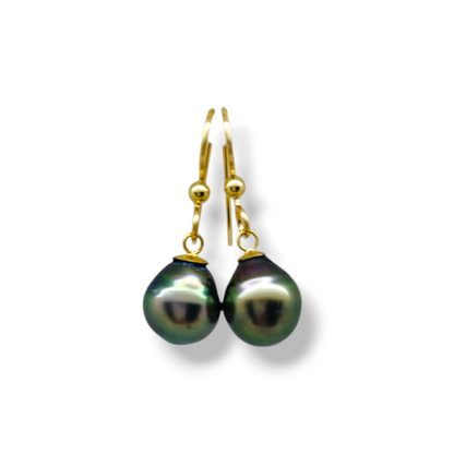 Puka Earrings-Earrings-Danika Cooper Jewellery