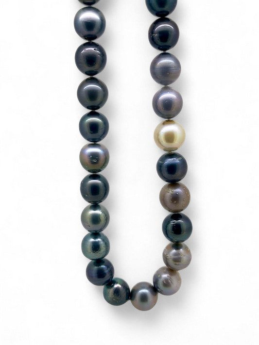Tahitian Strand Necklace 55cm-Necklace-Danika Cooper Jewellery