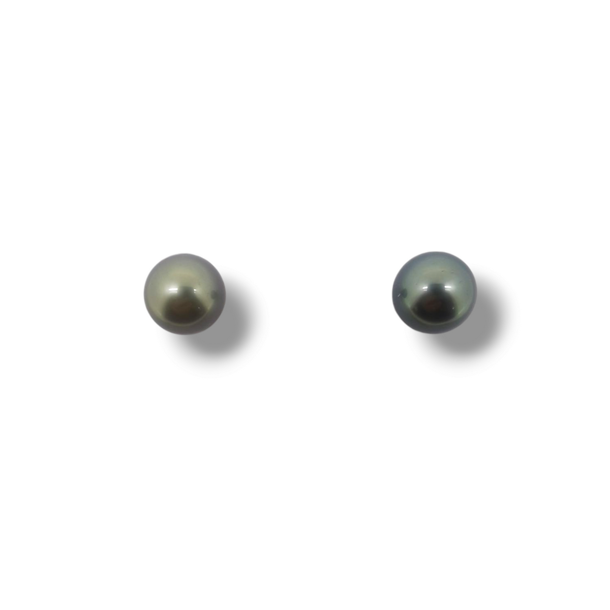 Classic Stud Earrings-Danika Cooper Jewellery