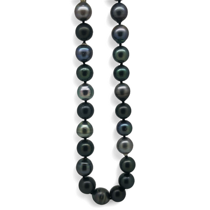 Tahitian Strand Necklace 50cm-Necklace-Danika Cooper Jewellery