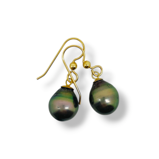 Puka Earrings-Earrings-Danika Cooper Jewellery