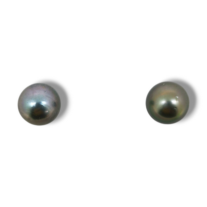 Classic Stud Earrings-Danika Cooper Jewellery